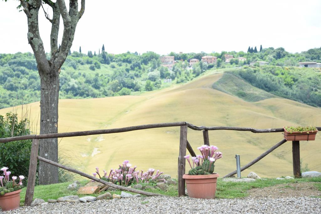 Appartamento Crete Senesi Castelnuovo Berardenga Dış mekan fotoğraf