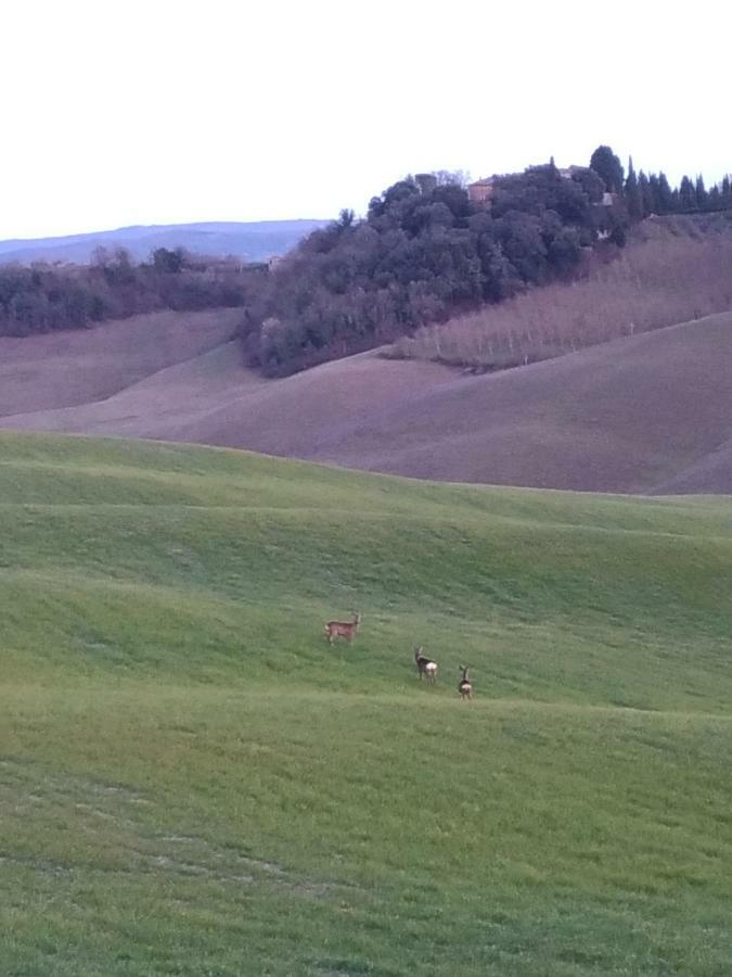 Appartamento Crete Senesi Castelnuovo Berardenga Dış mekan fotoğraf