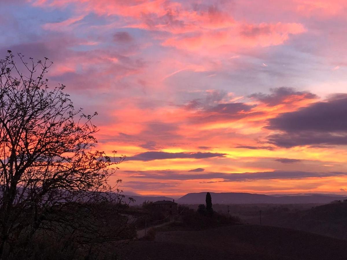Appartamento Crete Senesi Castelnuovo Berardenga Dış mekan fotoğraf